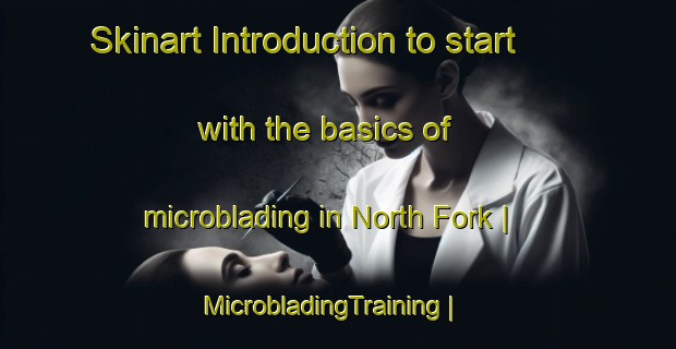 Skinart Introduction to start with the basics of microblading in North Fork | MicrobladingTraining | MicrobladingClasses | SkinartTraining-United States